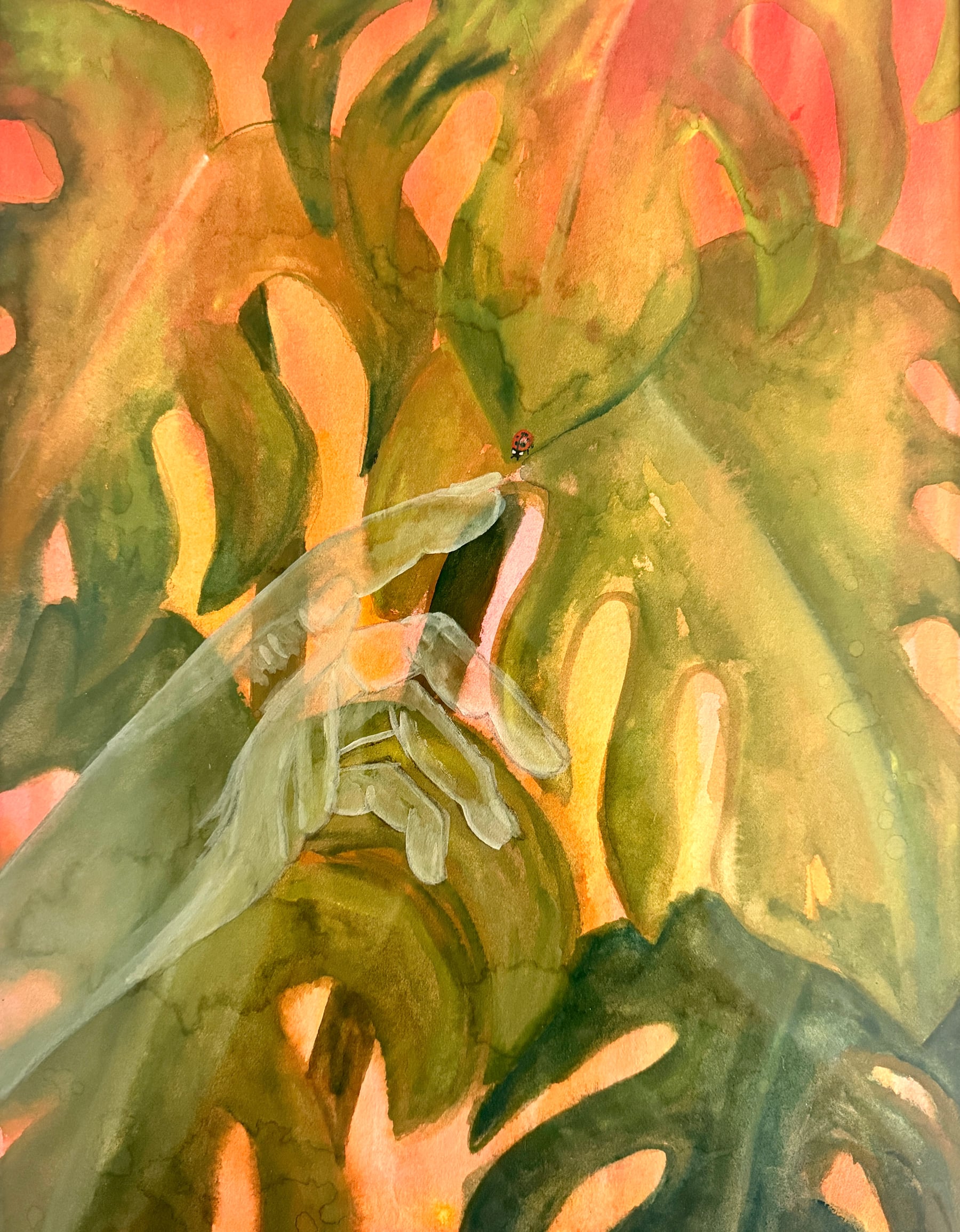 Serendipity