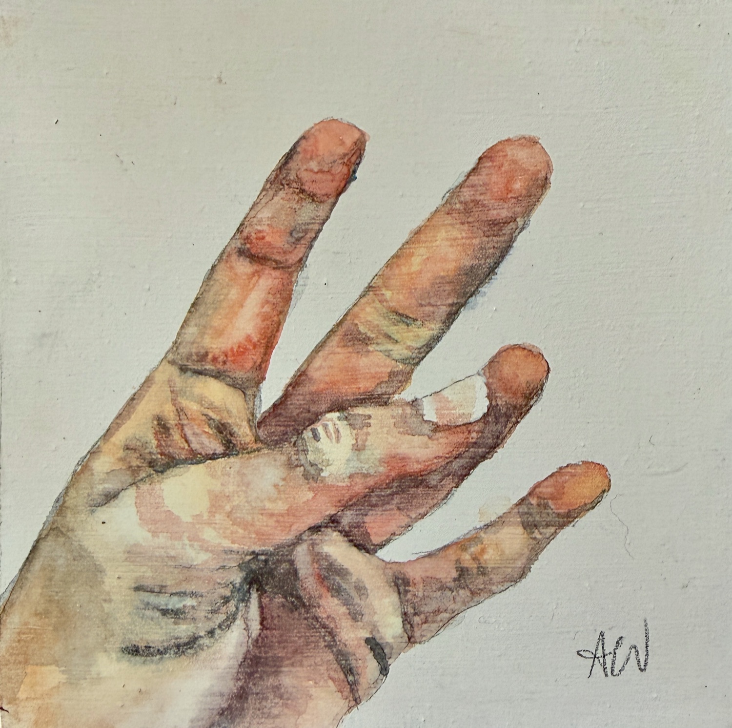Surface Study (ground)